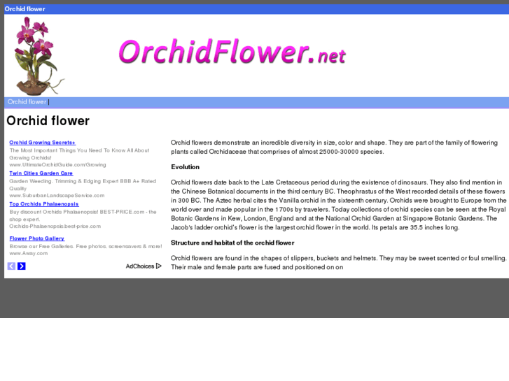 www.orchidflower.net