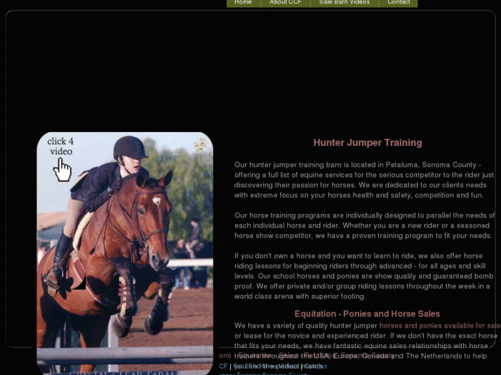 www.petalumahorsetraining.com