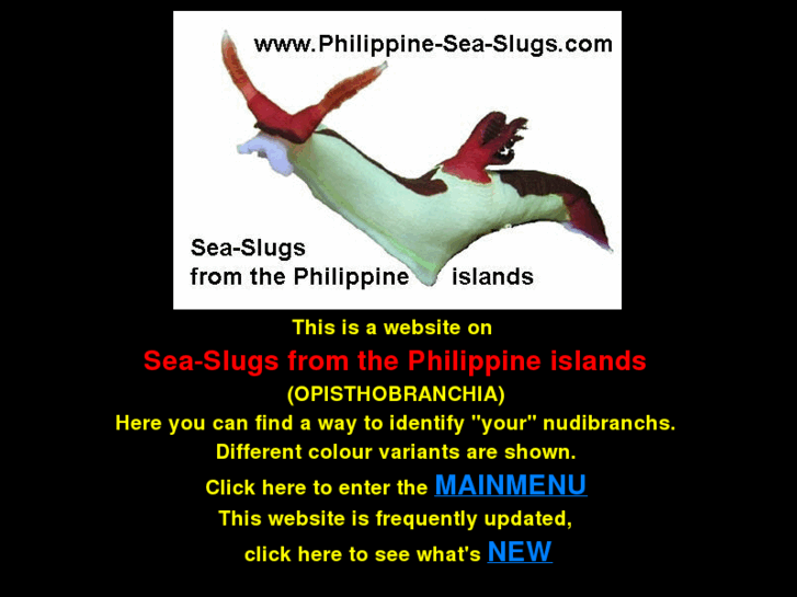 www.philippine-seaslugs.com