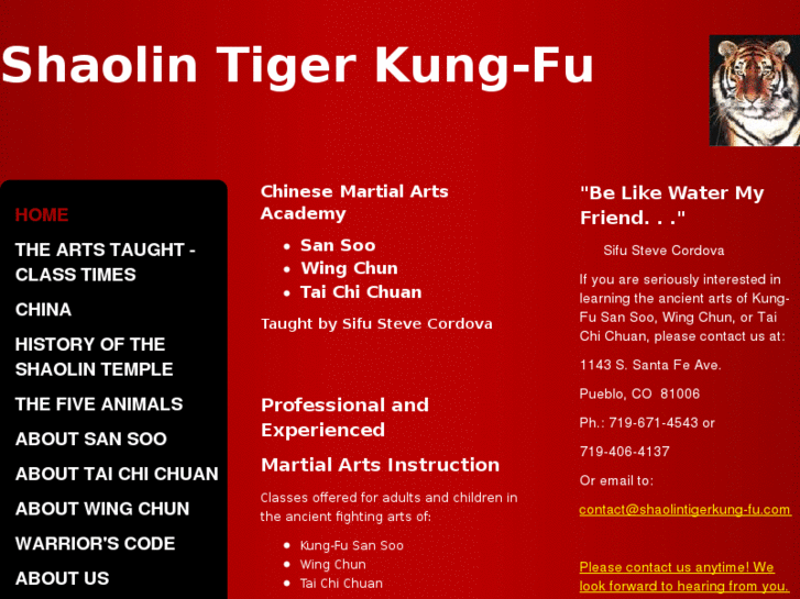 www.shaolintigerkung-fu.com