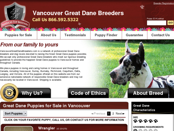 www.vancouvergreatdanebreeders.com