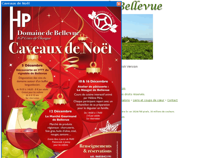 www.domainedebellevue.com