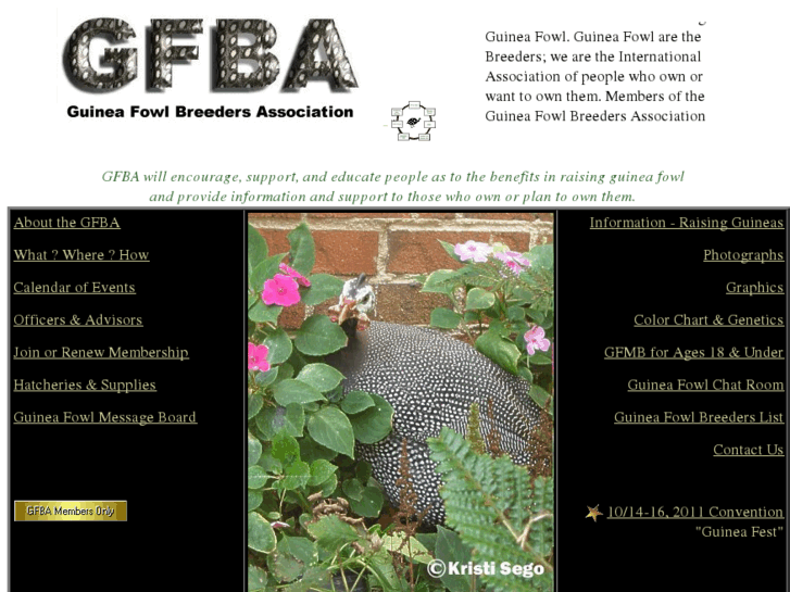 www.gfba.org