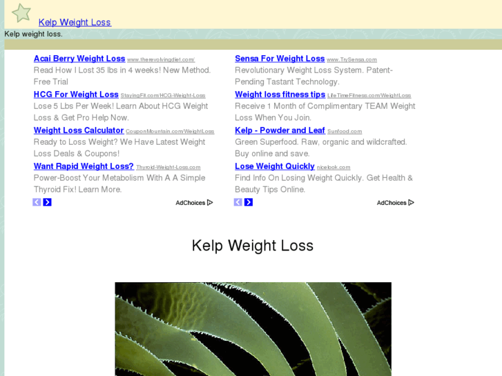 www.kelpweightloss.com