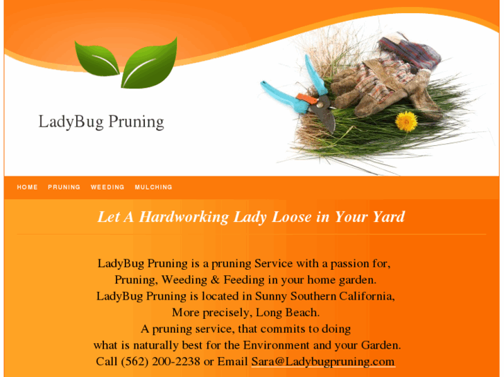 www.ladybugpruning.com