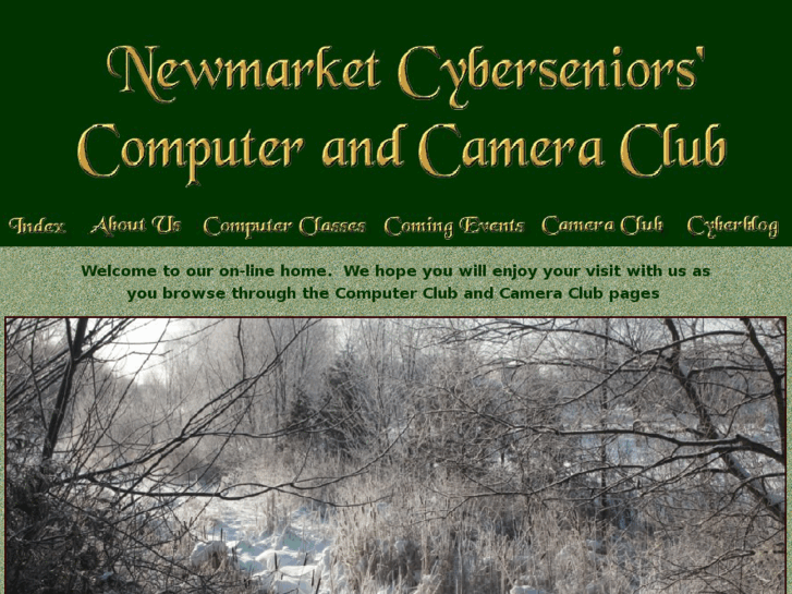 www.newmarketcyberseniors.com