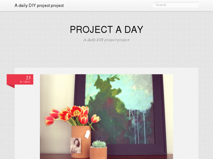 www.projectaday.com