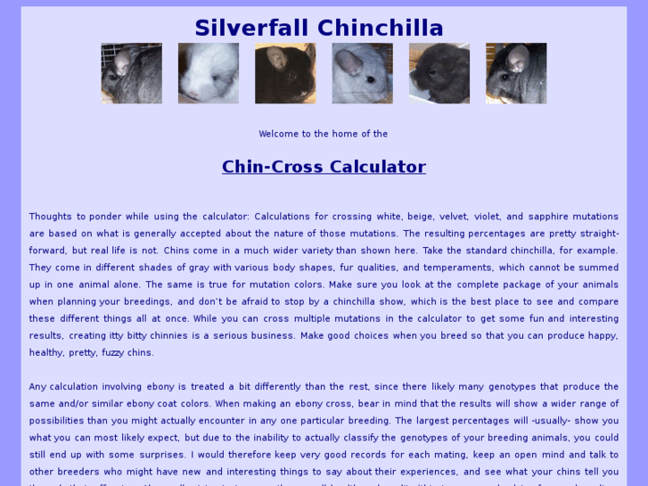 www.silverfallchinchilla.com