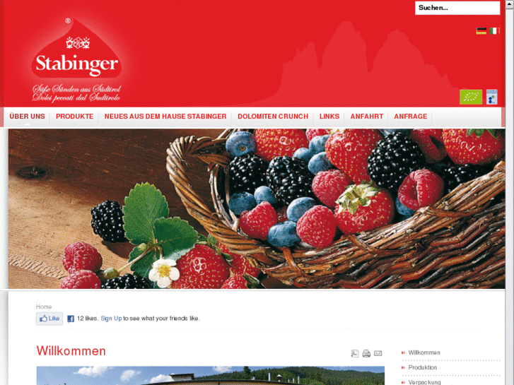 www.stabinger.it