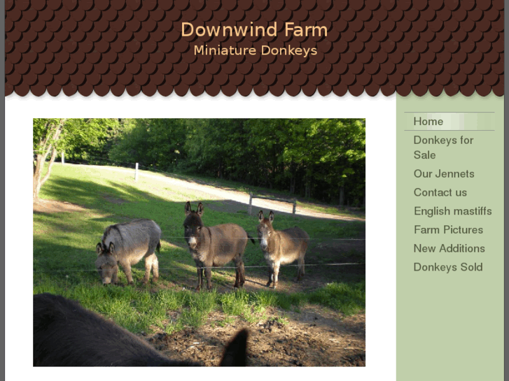 www.downwindfarm.com