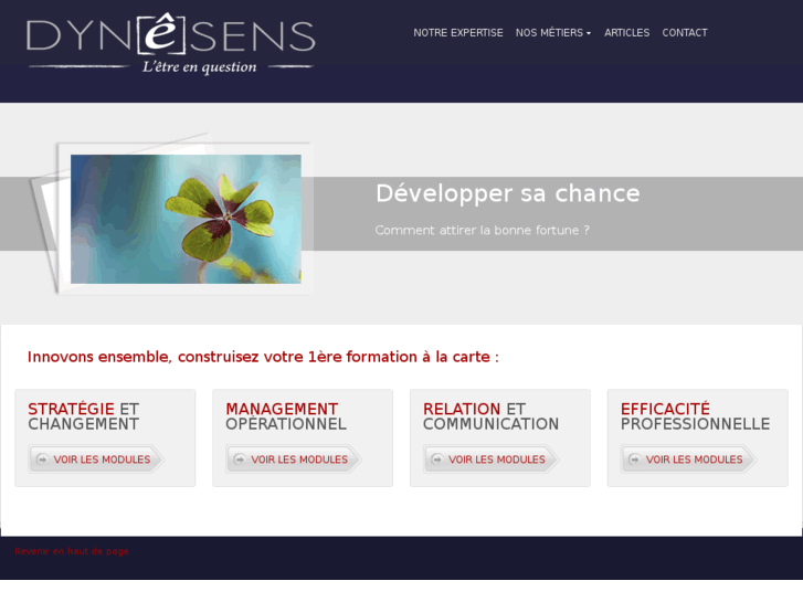 www.dynesens.com