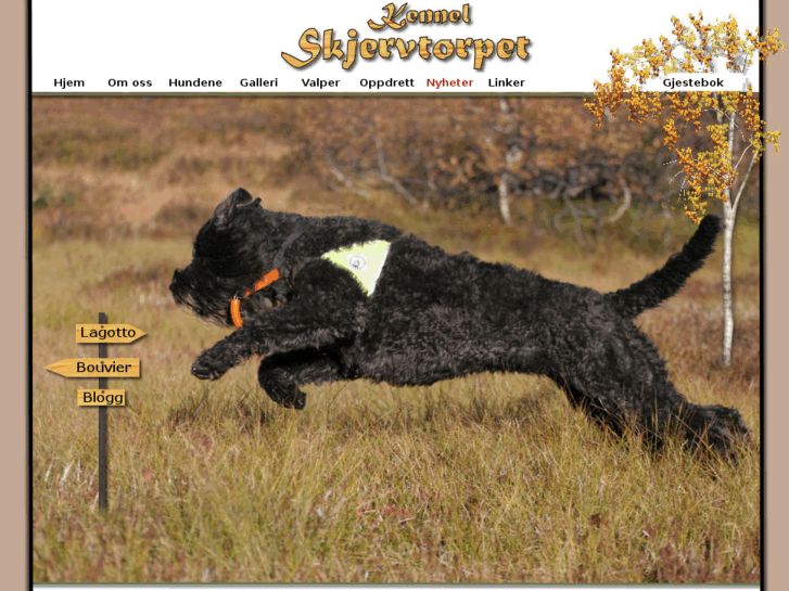 www.skjervtorpet.com