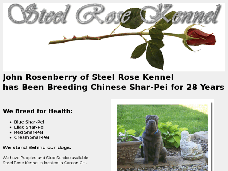 www.steelrosekennel.com