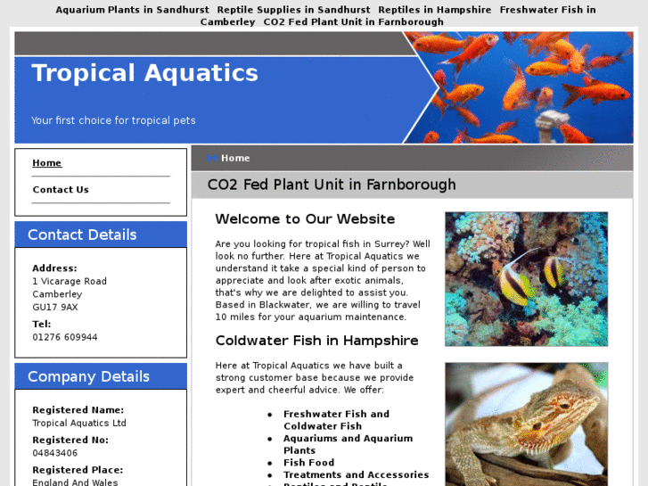 www.tropicalfishandreptiles.com