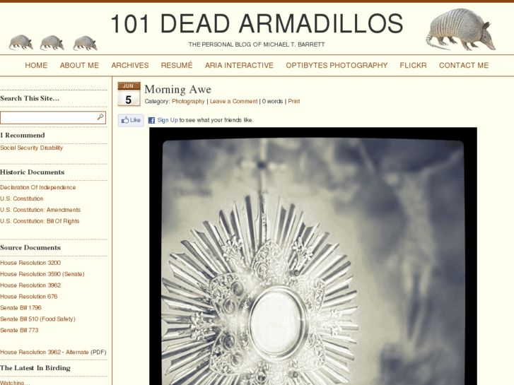 www.101deadarmadillos.com