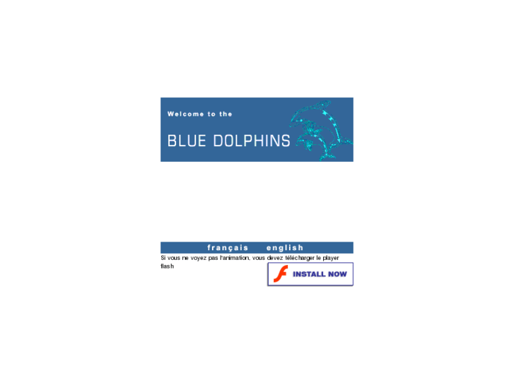 www.bluedolphinsdiving.com