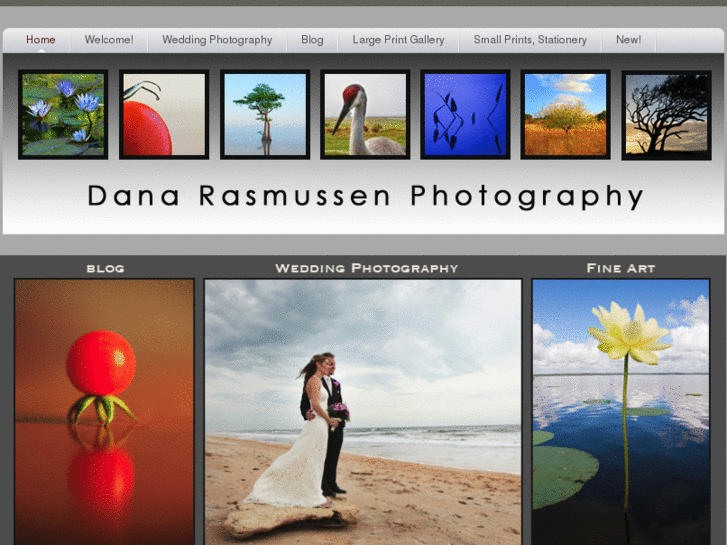 www.danarasmussen.com