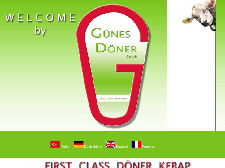 www.gunesdoner.com