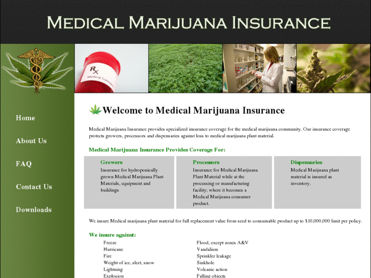 www.medicalmarijuana-insurance.com