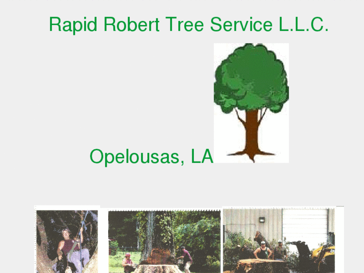 www.rapidroberttree.com