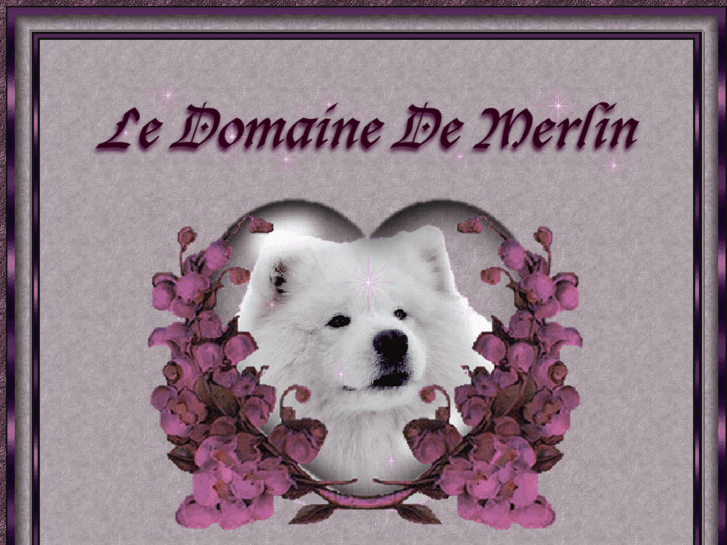 www.samoyededomainedemerlin.com