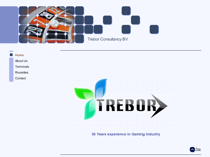 www.trebor-consultancy.com