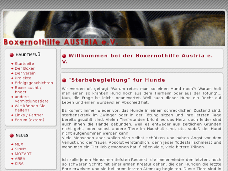 www.boxernothilfe-austria.at