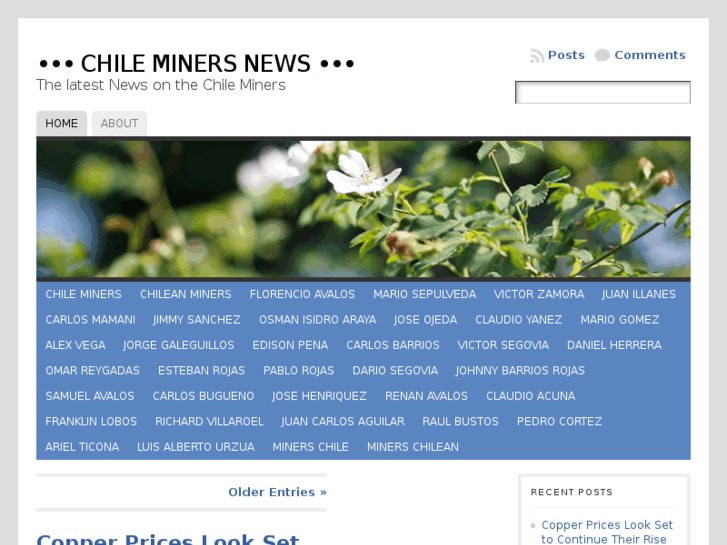 www.chileminersnews.com