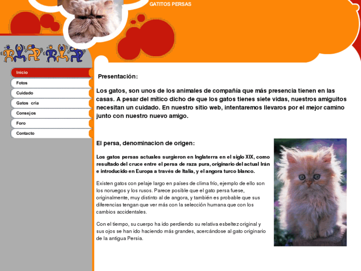 www.gatitospersas.com