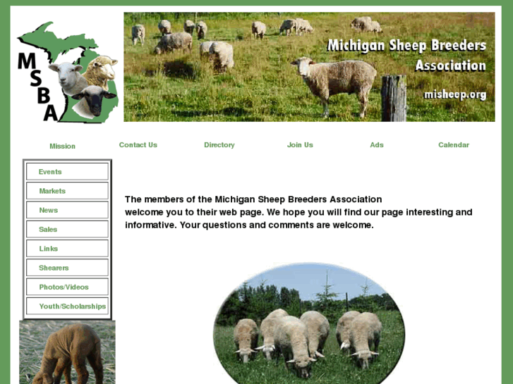 www.misheep.com