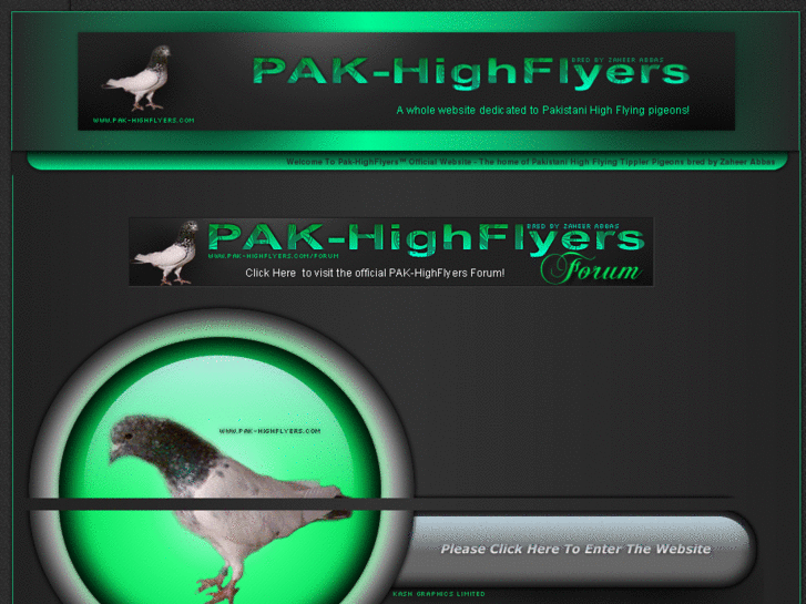 www.pak-highflyers.com