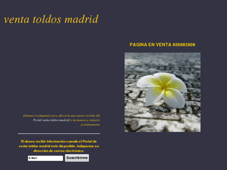 www.toldomadrid.es