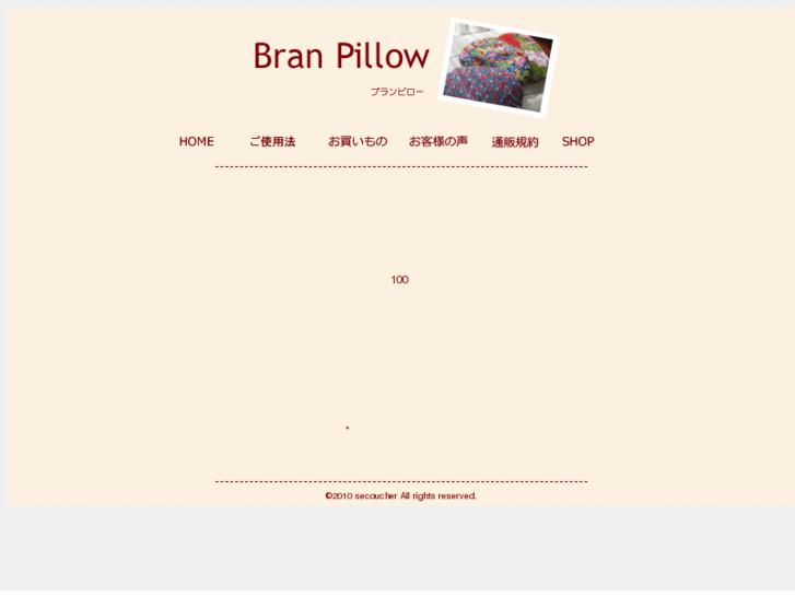 www.branpillow.com