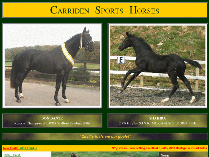 www.carridensportshorses.com