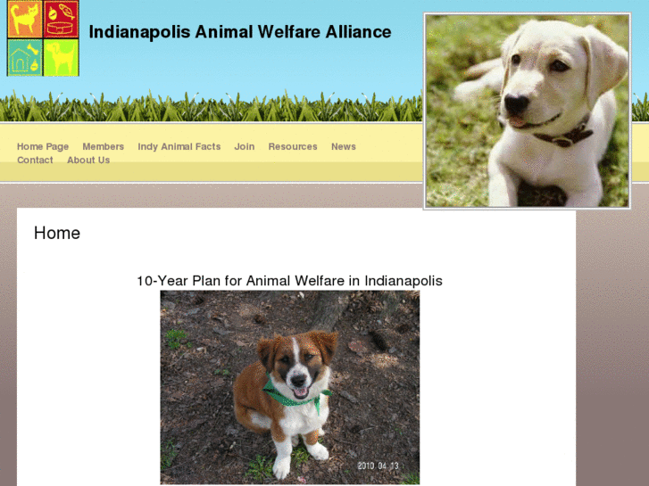 www.indyanimalalliance.org