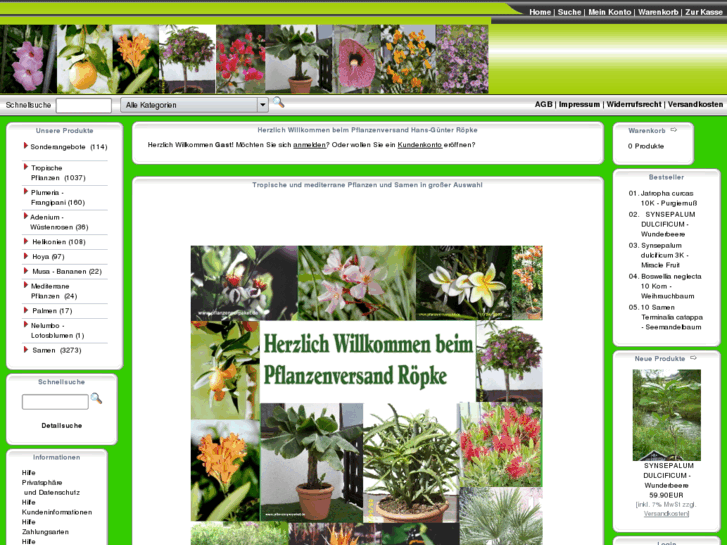 www.kuebelpflanzen.biz