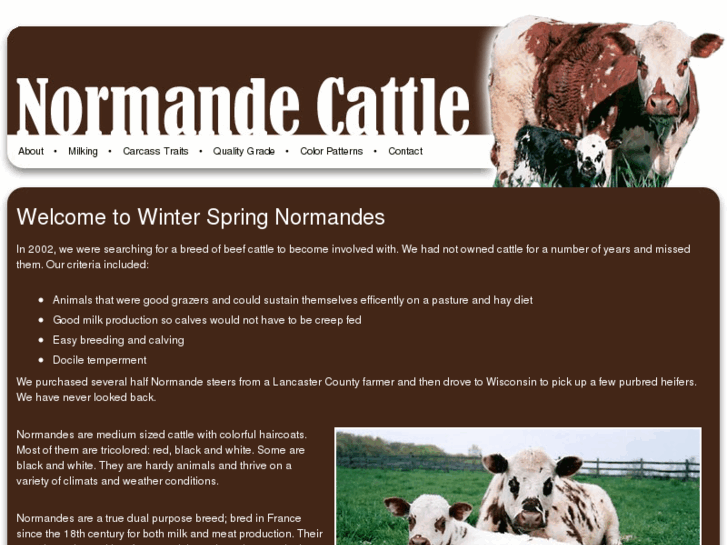 www.normande-cattle.com