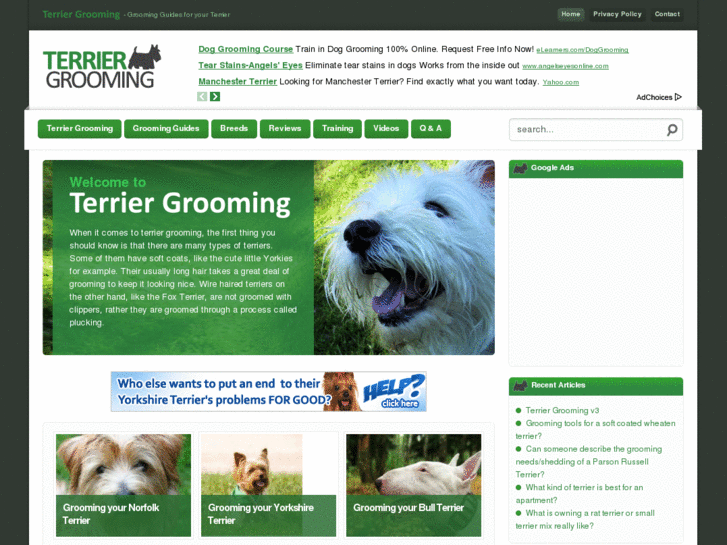 www.terriergrooming.com