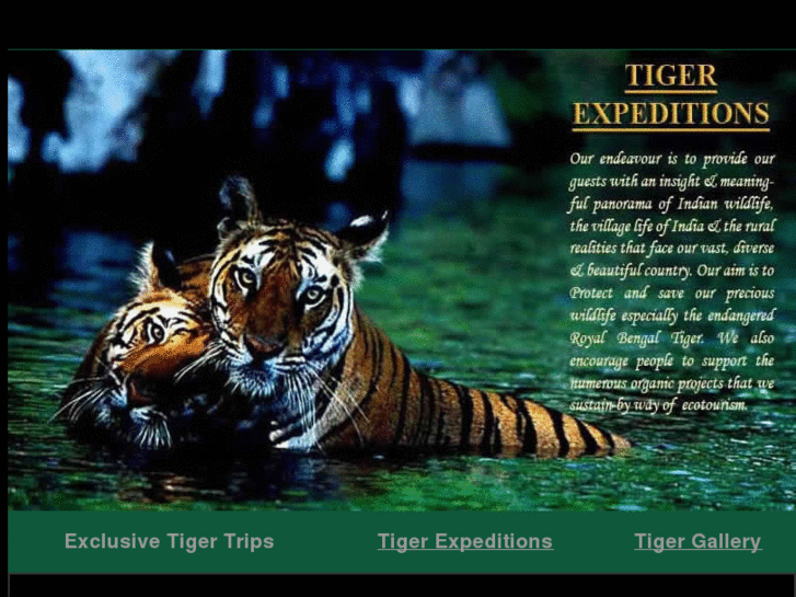 www.tigerexpeditions.com