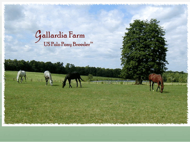 www.gallardo-polo.com