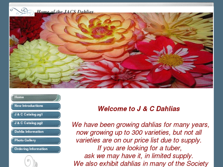 www.jcdahlias.com