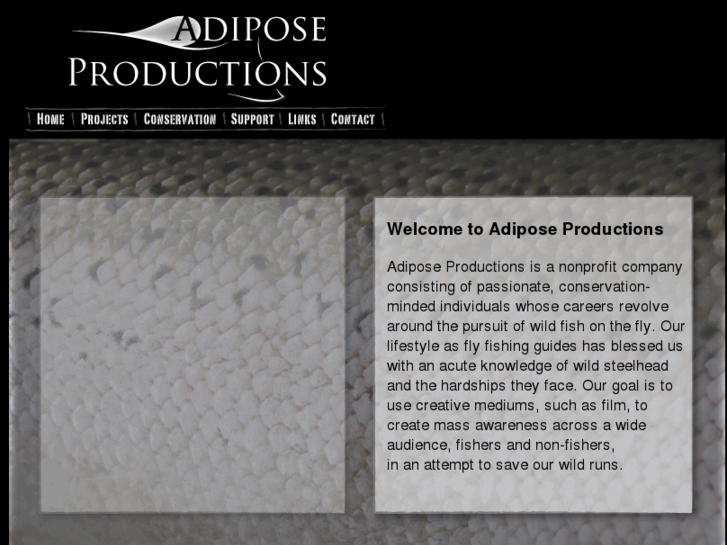 www.adiposeproductions.com