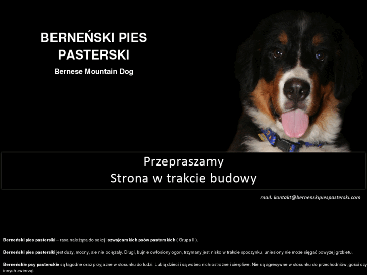 www.bernenskipiespasterski.com