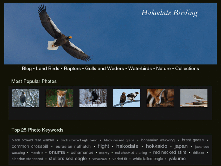 www.hakodatebirding.com