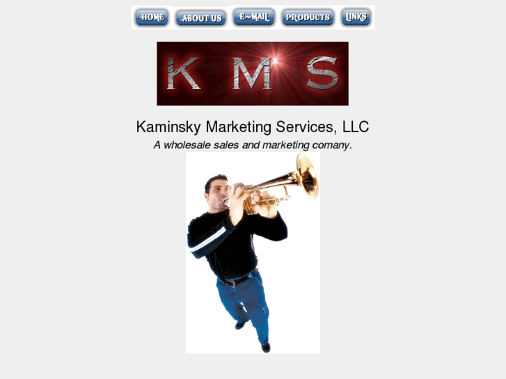 www.kaminskymarketingservices.com