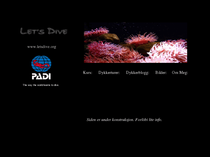 www.letsdive.org