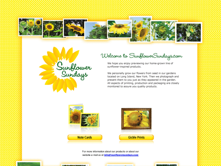 www.sunflowersundays.com