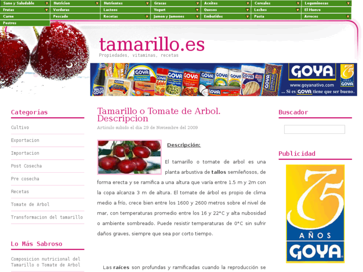 www.tamarillo.es