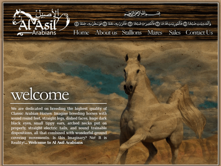 www.alasilarabians.com