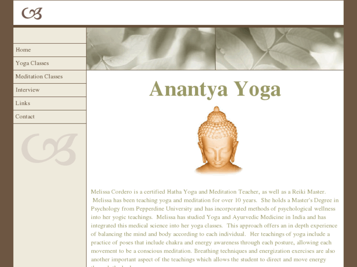 www.anantyas.com